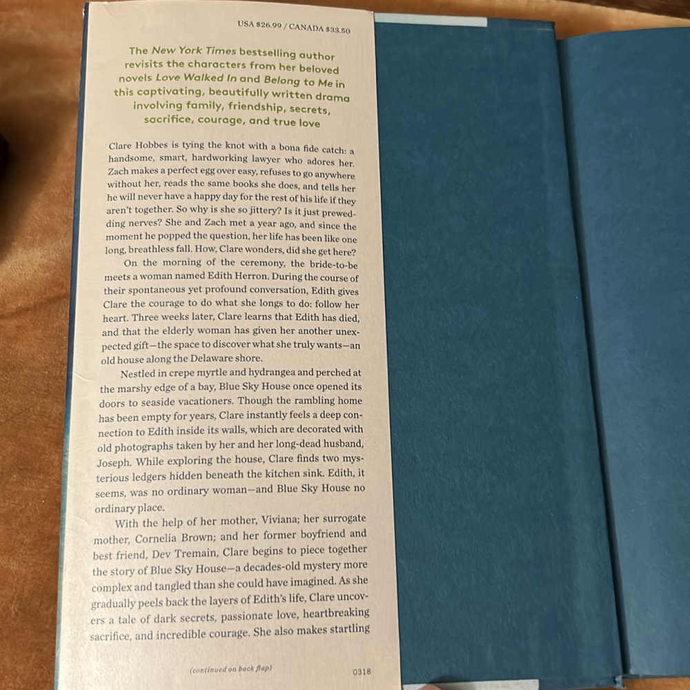 Book I’ll Be Your Blue Sky by Marisa De Los Santos - Picture 3 of 6